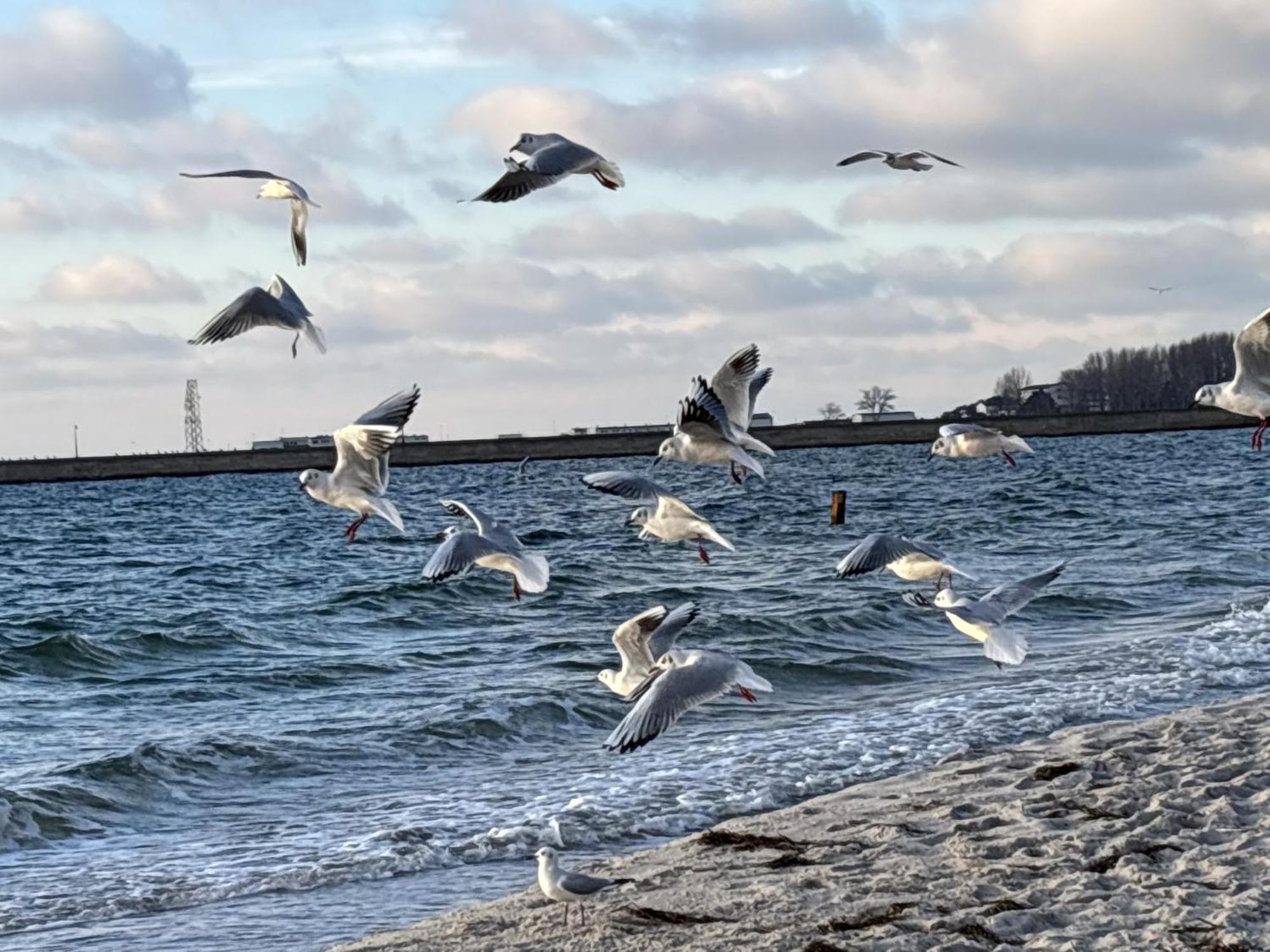 Apartment Oceanview Baltyk -bezplatny Parking Gdynia